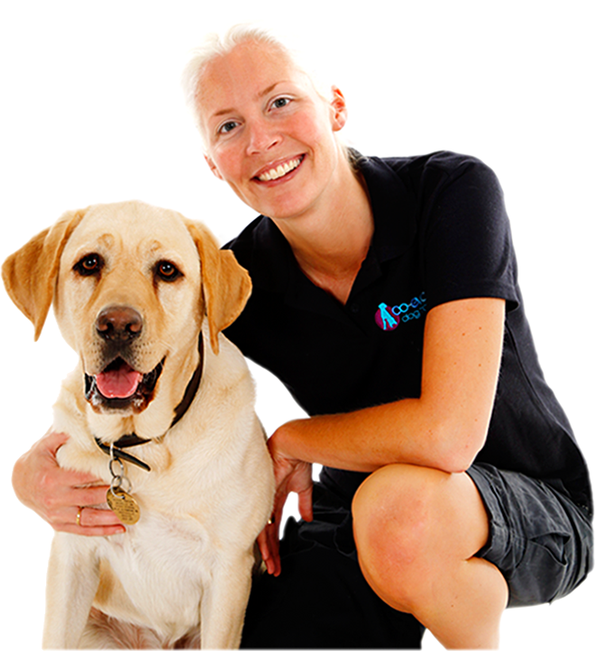 Dog Behaviourist and Trainer