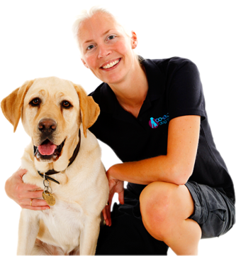 Dog Training Bristol