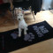 Poppy 1 Puppy training Bristol