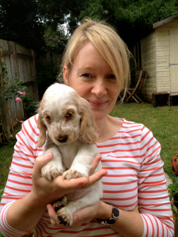 Puppy Training Bristol