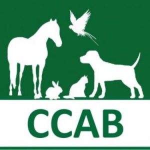 CCAB-2021-e1618436948519